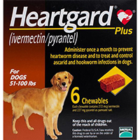 heartgard plus nexgard for dogs